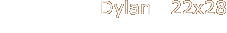Dylan   22x28
