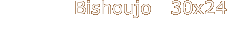 Bishoujo   30x24